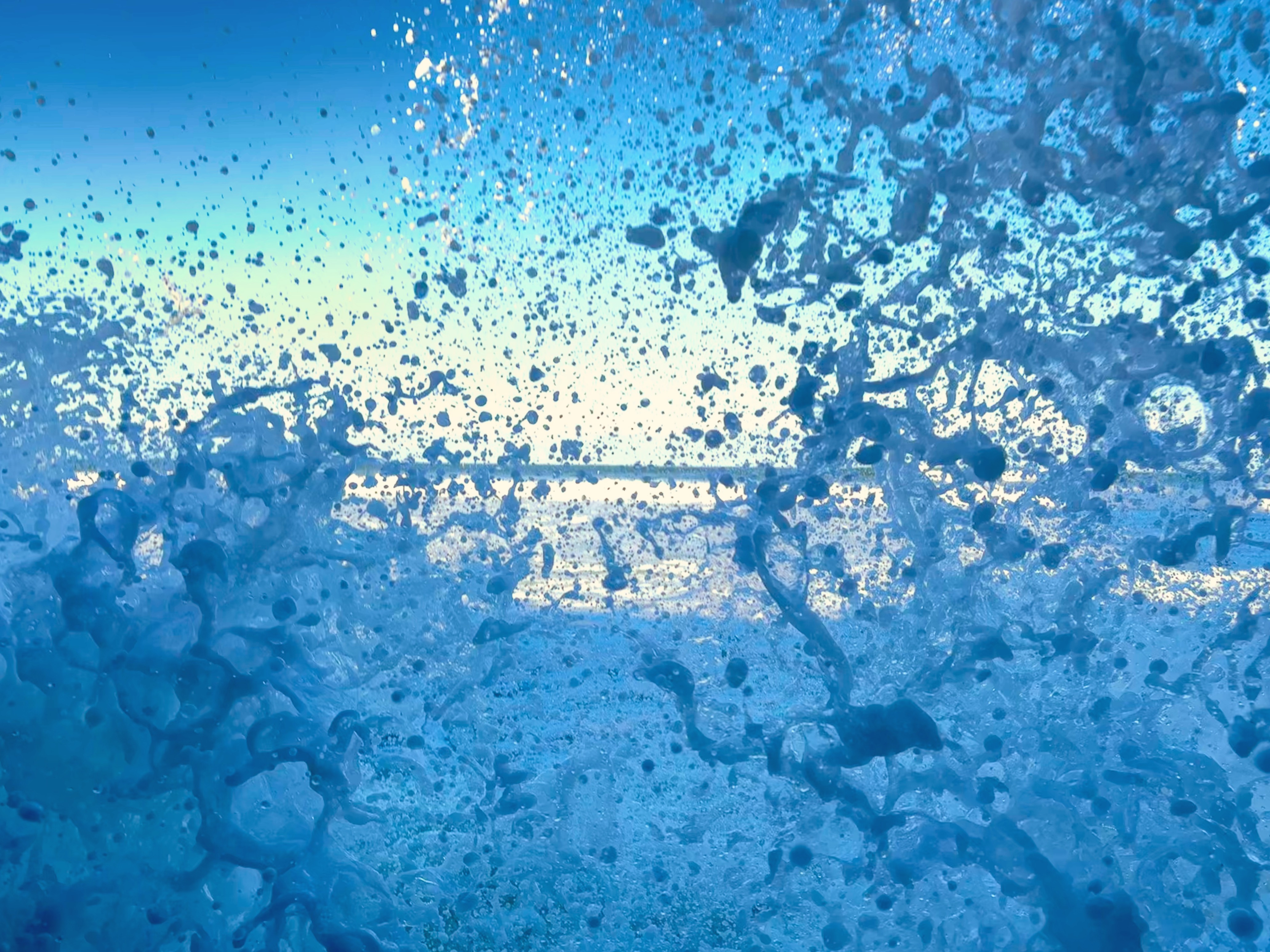 Blue Frost