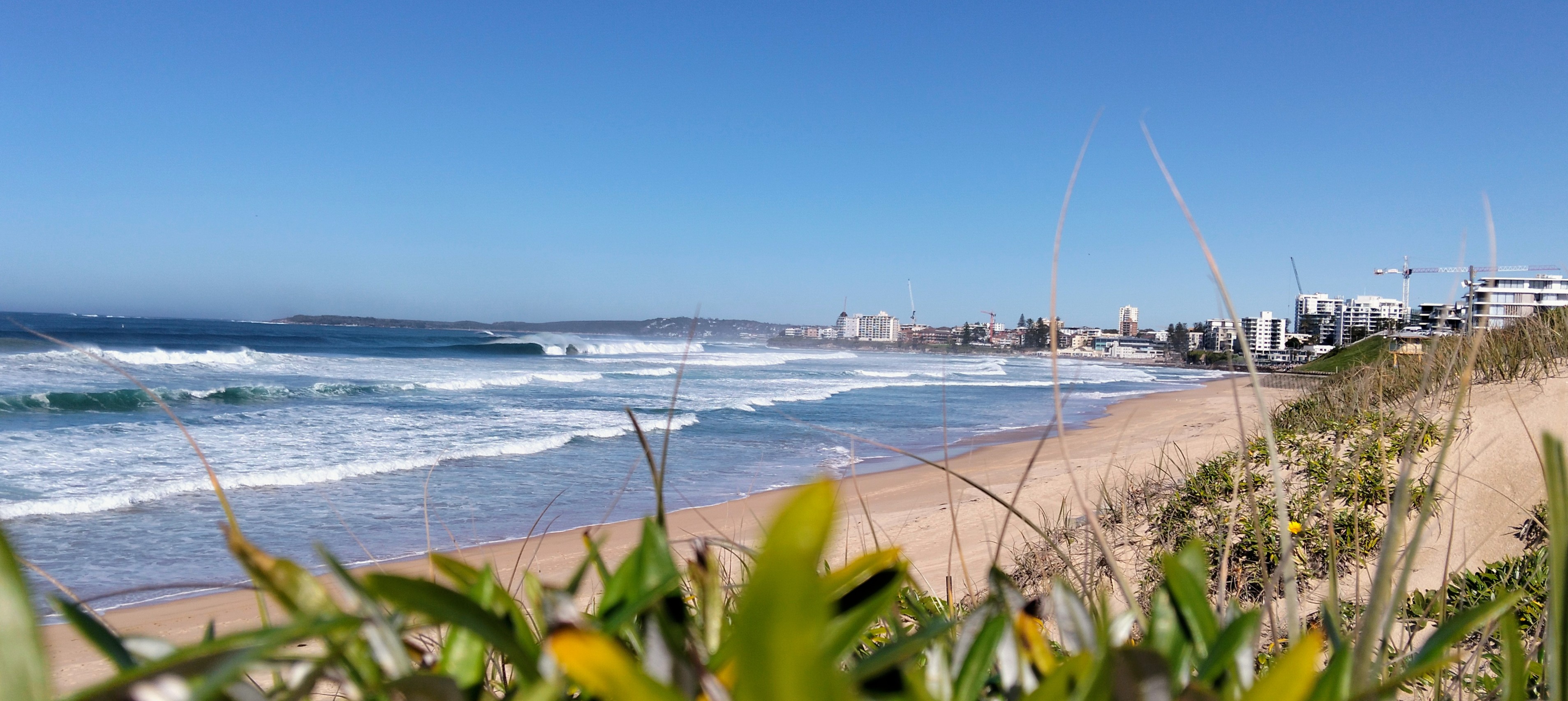 Cronulla Sunrise