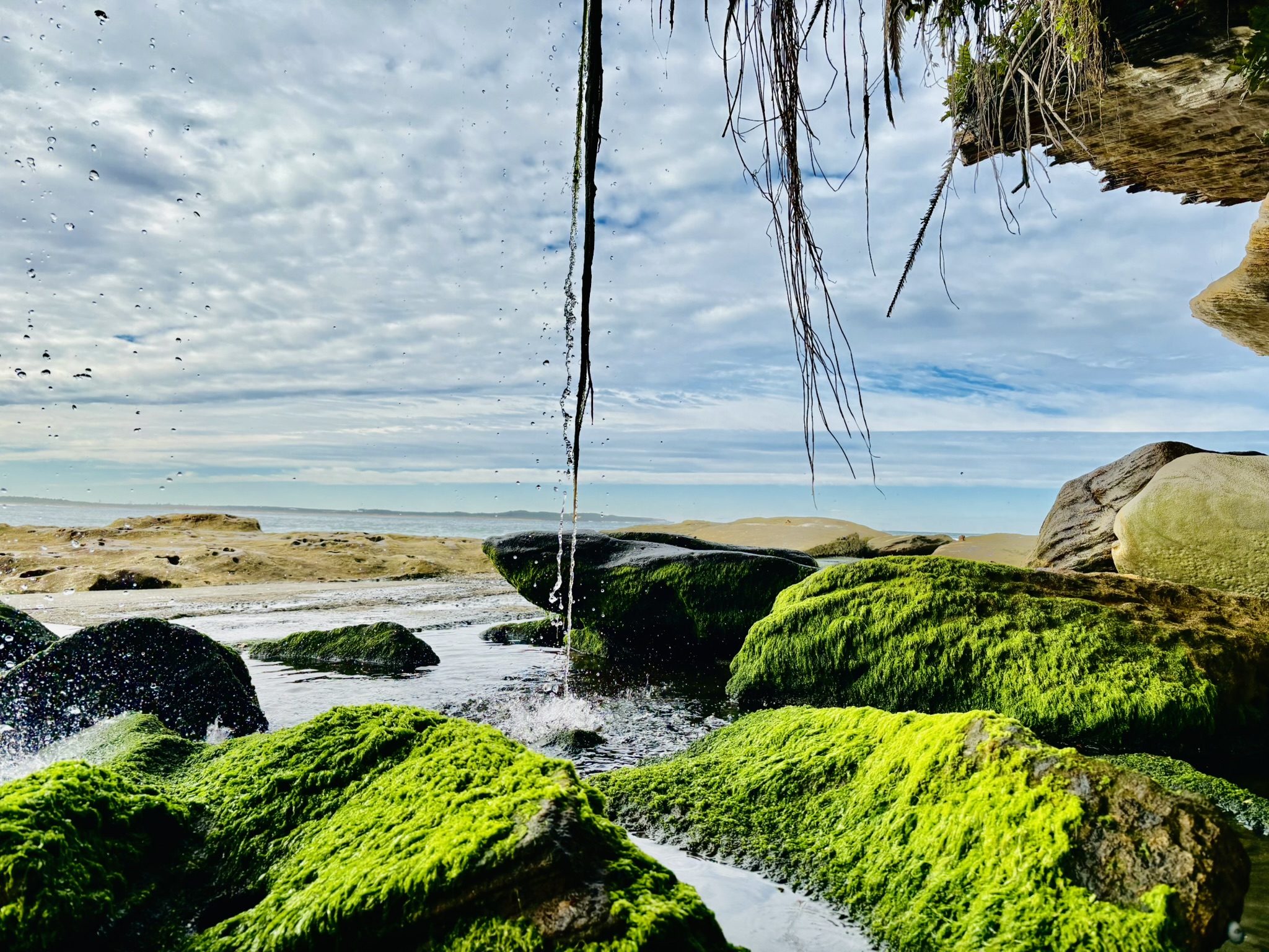 Rainforest Meets Sand